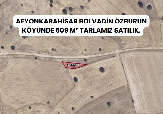 AFYONKARAHİSAR BOLVADİN ÖZBURUN KÖYÜNDE 509 M² TARLAMIZ SATILIK. - AFYONKARAHİSAR BOLVADİN fotoğraf 8
